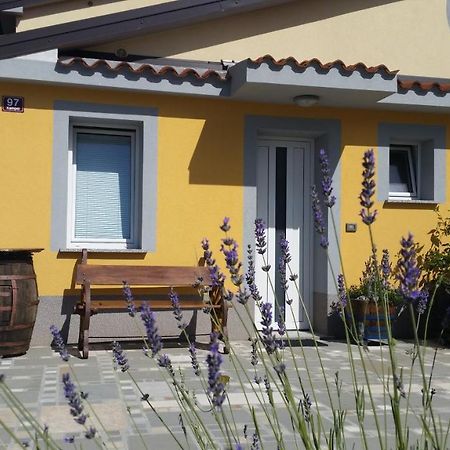 Apartma Brnistra Ginestra 科佩尔 外观 照片