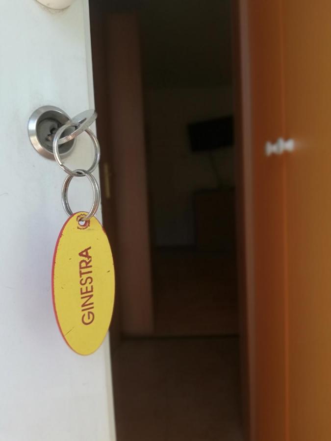 Apartma Brnistra Ginestra 科佩尔 外观 照片